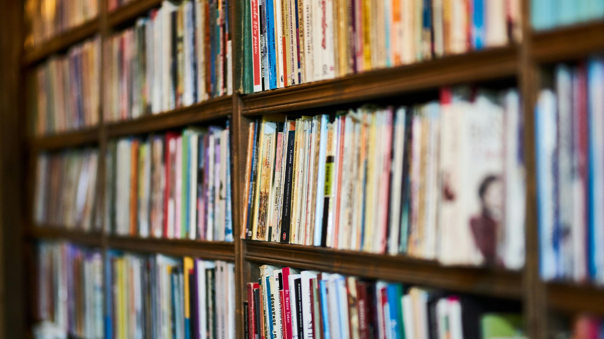 Study Programmes